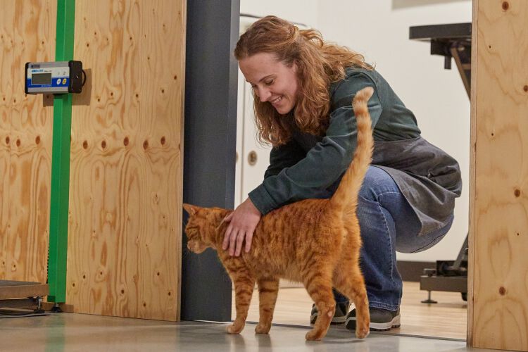 Jouw dierspecialist in de buurt.